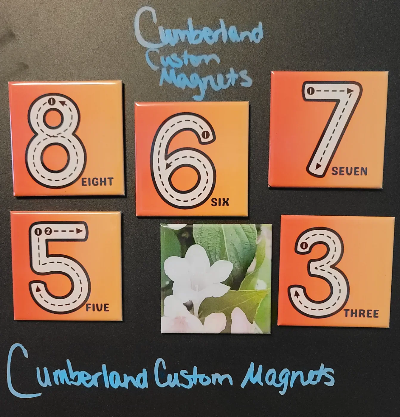 6 Pictures - 2.5" Magnets (63.5mm)